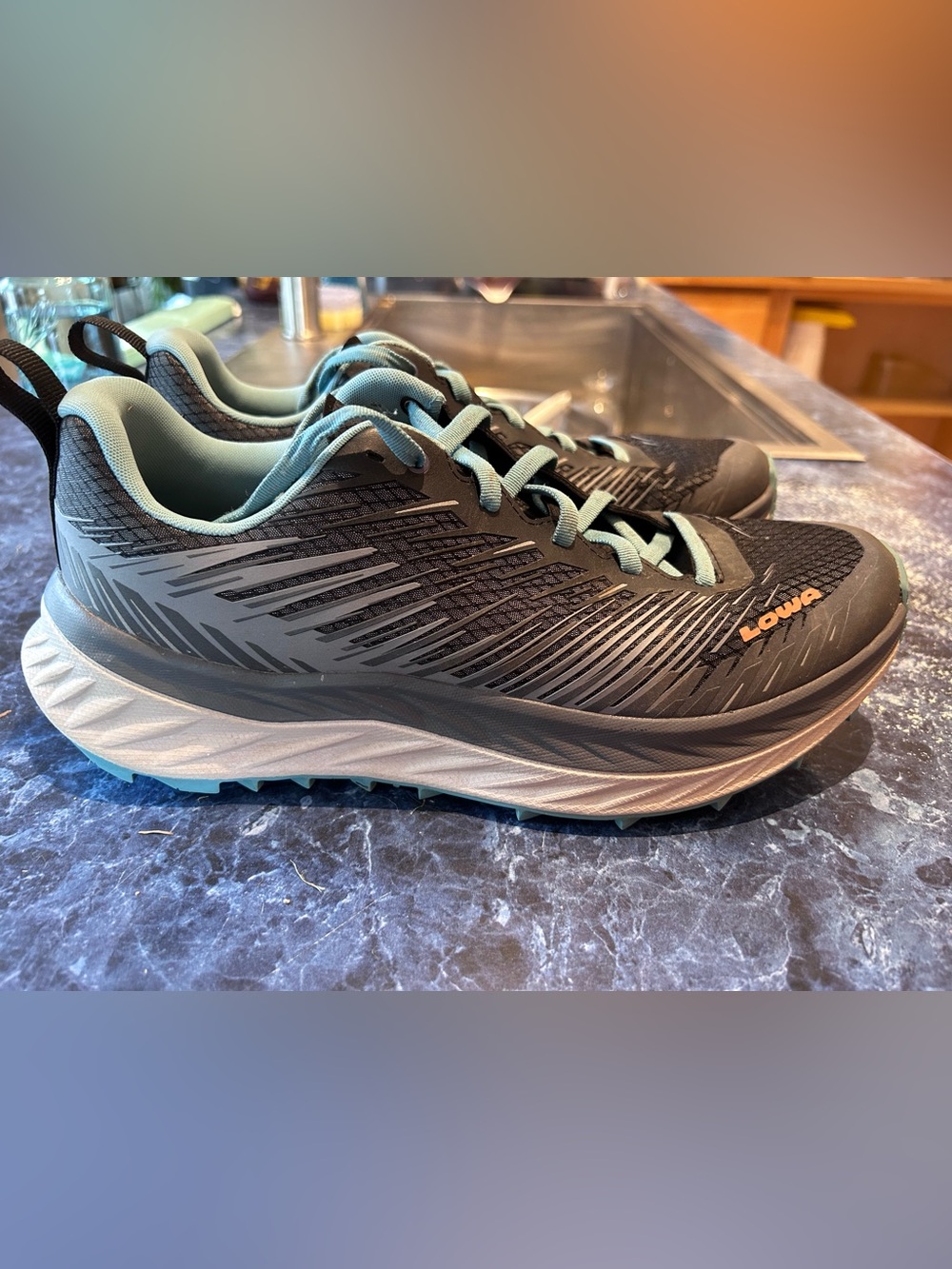 Lowa Fortux Trail Running Shoes